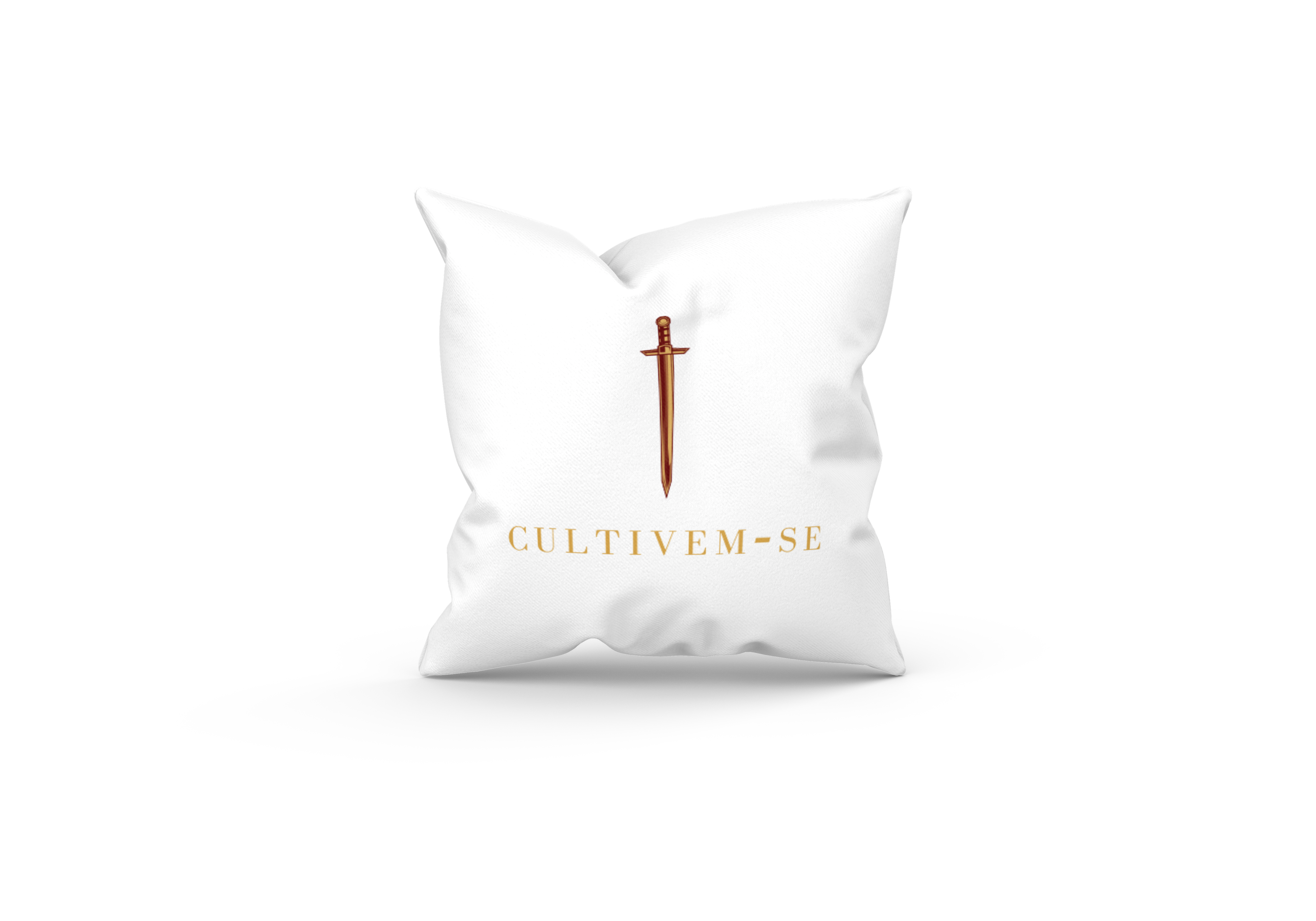 Square pillow with changeable color_gon